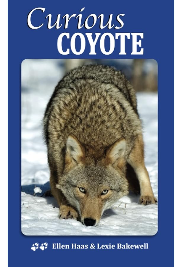 Coyote's Pocket Guide: To Connecting Kids with Nature: Media